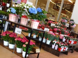 ナフコ時津店01-4