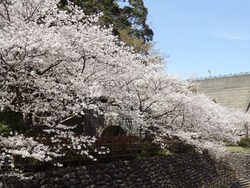 西山ダム公園01-8