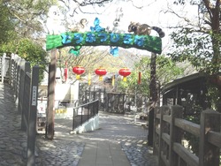 ��ˬ����01-7