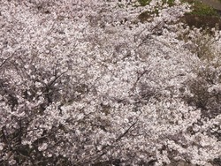 芒塚01-5