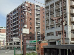 Ĺ��ӥ塼�ۥƥ�