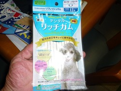 ダイソー00