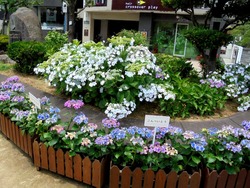 中島川02-3