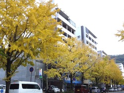 市民会館02