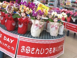 多良見店01-2