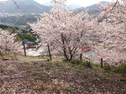 中尾城公園01-7