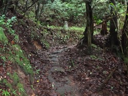 木花開耶姫神社01-4