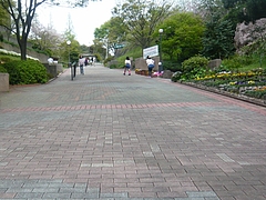 中尾城公園03-2