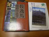 a31d7d08.JPG