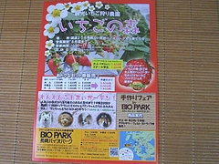 いちご狩り