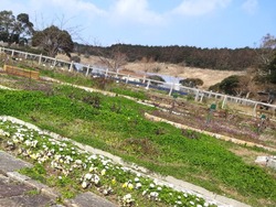 あぐりの丘01-6