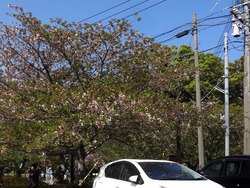 大村公園01-2