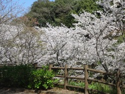 �����������01-8