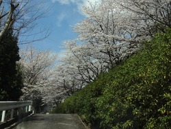 三川公園01-1