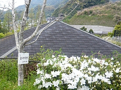 中尾城公園01-4