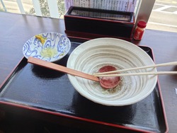 はくしか02-6