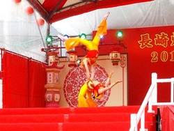 中国雑技05