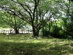 神の島公園01-8