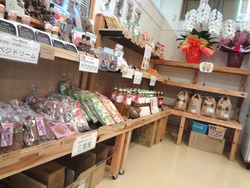 三浦線海沿いマルシェ01-8