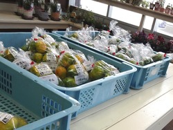 ¤È¤ì¤È¤ì½Ü²È01-1