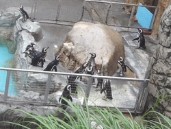 ペンギン水族館02-3