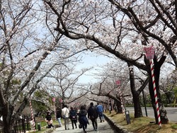 大村公園01-9