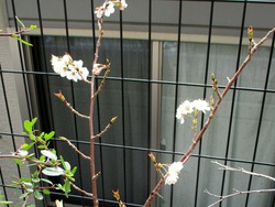 Äí01-3