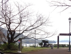和三郎公園01