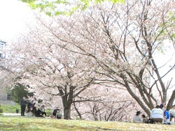 ���������02-4