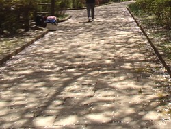 西山ダム公園02-6