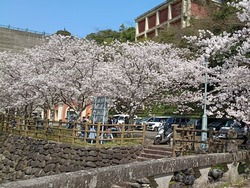 �����������01-5