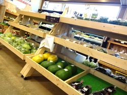 ¤È¤ì¤È¤ì½Ü²È01-2