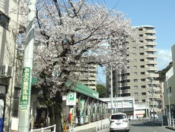 滑石01-5