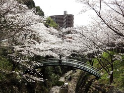西山ダム公園01-7