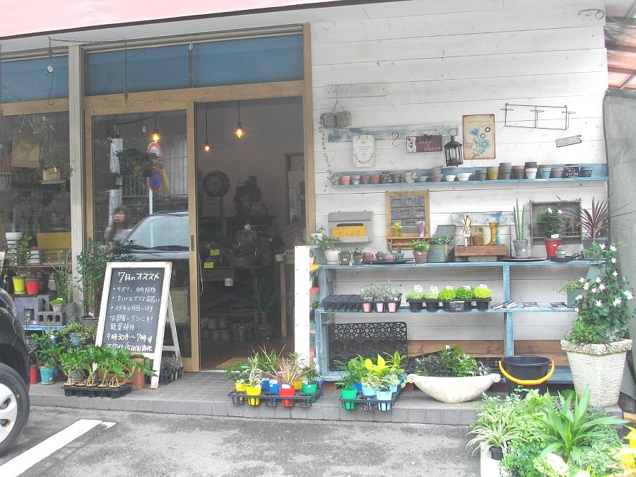 正しい休日の過ごし方 諫早ニュータウンの雑貨屋 松井商店 Livedoor Blog ブログ