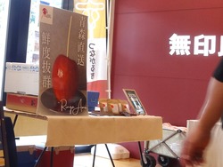 �ե쥹�ݿ���01-3