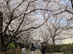 西山ダム公園01-4