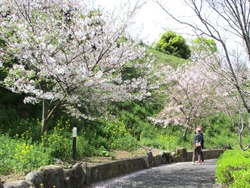 ���������01-3