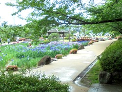 大村公園03
