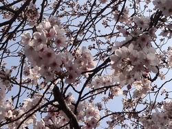 中尾城公園02-8