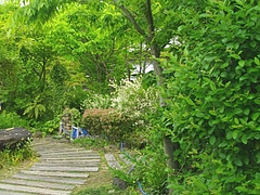 西ノ原02-2