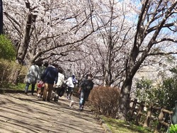 西山ダム公園01