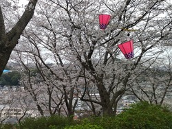中尾城公園01-3