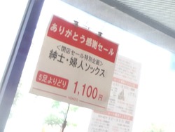 葉山01-7