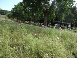 ������ε�02-4