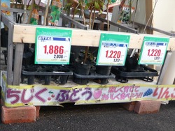 時津02-4