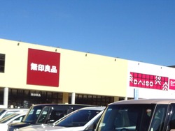 �ե쥹�ݿ���00