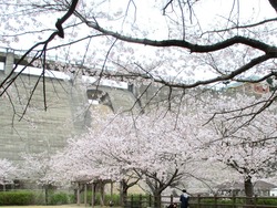 西山ダム公園00
