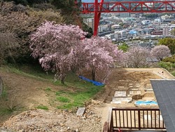 ���������01-2