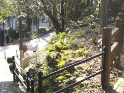 諏訪神社01-5